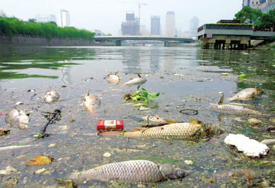 水污染.jpg